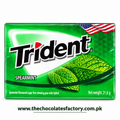 TRIDENT SPEARMINT 21g